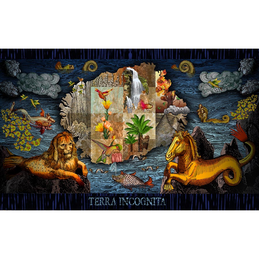 Terra Incognita Ed Fireworks Gallery